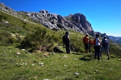 2021-05-06-Cortillo-Linillos-Alto-del-Majalijar-9