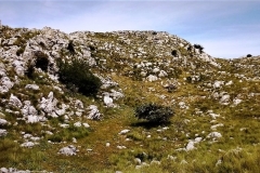 2021-05-30-Alto-del-Calabozo-17