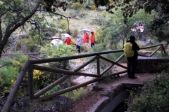 2021-05-21-Fuente-de-los-Potros-3