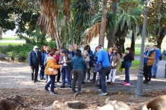 2020-PASEO-DE-LOS-SENTIDOS18