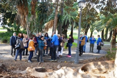 2020-PASEO-DE-LOS-SENTIDOS19