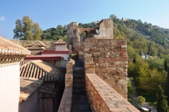 2020 Visita Alcazaba Málaga10