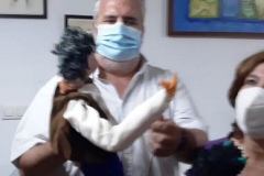 2020-08-20-GT-CONSTITUCION08