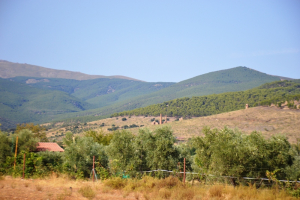 2020 26.- Zona Acampada Jerez del Marquesado