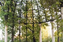 2020-10-04-GM-ENSAYO-PARQUE-ARQUERIAS12