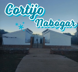 Centro Scout-Guía