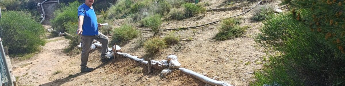 Crónica mantenimiento ValleScout